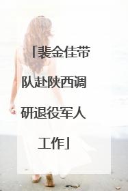 裴金佳带队赴陕西调研退役军人工作