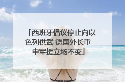 西班牙倡议停止向以色列供武 德国外长重申军援立场不变