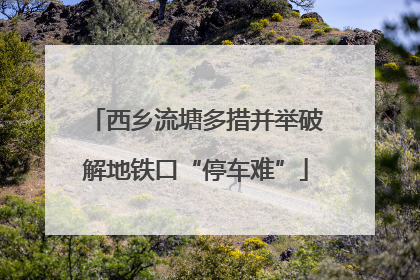 西乡流塘多措并举破解地铁口“停车难”