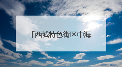西城特色街区中海大吉巷正式开业，打卡市民真不少