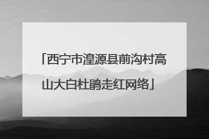 西宁市湟源县前沟村高山大白杜鹃走红网络