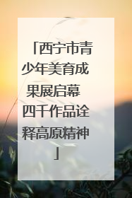 西宁市青少年美育成果展启幕 四千作品诠释高原精神