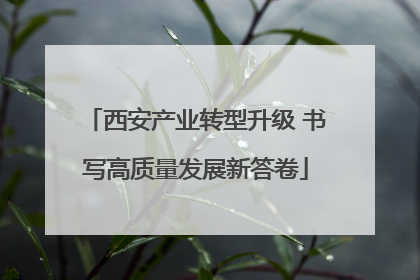 西安产业转型升级 书写高质量发展新答卷