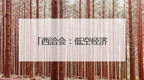 西洽会：低空经济展商引关注(2)