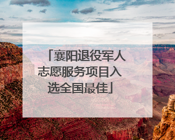 襄阳退役军人志愿服务项目入选全国最佳
