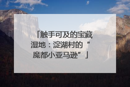 触手可及的宝藏湿地：淀湖村的“魔都小亚马逊”