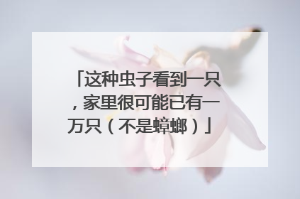 这种虫子看到一只，家里很可能已有一万只（不是蟑螂）