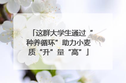 这群大学生通过“种养循环”助力小麦质“升”量“高”
