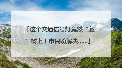 这个交通信号灯竟然“藏”树上！市民盼解决……