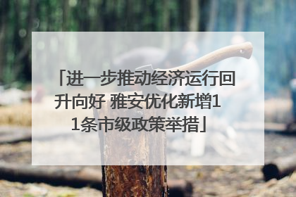 进一步推动经济运行回升向好 雅安优化新增11条市级政策举措