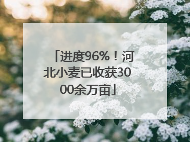 进度96%！河北小麦已收获3000余万亩