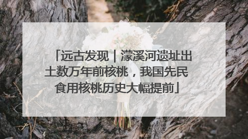 远古发现｜濛溪河遗址出土数万年前核桃，我国先民食用核桃历史大幅提前