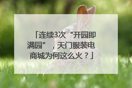 连续3次“开园即满园”，天门服装电商城为何这么火？