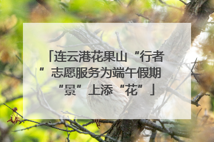 连云港花果山“行者”志愿服务为端午假期“景”上添“花”