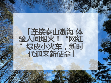 连接泰山渤海 体验人间烟火！“网红”绿皮小火车，新时代迎来新使命