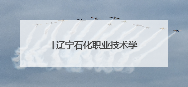 辽宁石化职业技术学院：党建联学共建，政行园企校协同育人