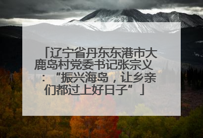 辽宁省丹东东港市大鹿岛村党委书记张宗义：“振兴海岛，让乡亲们都过上好日子”