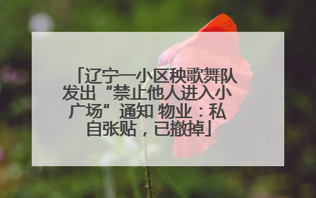 辽宁一小区秧歌舞队发出“禁止他人进入小广场”通知 物业：私自张贴，已撤掉
