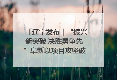 辽宁发布｜“振兴新突破 决胜勇争先”阜新以项目攻坚破解发展瓶颈 经济发展实现良好开局