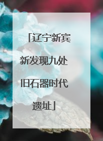 辽宁新宾新发现九处旧石器时代遗址