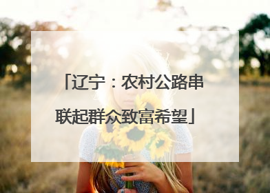 辽宁：农村公路串联起群众致富希望