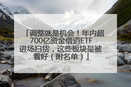 调整就是机会！年内超700亿资金借道ETF进场扫货，这些板块最被看好（附名单）