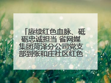 赓续红色血脉、砥砺忠诚担当 省网媒集团菏泽分公司党支部到张和庄社区红色基因传承馆开展主题党日活动