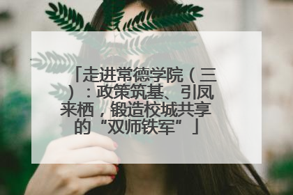 走进常德学院（三）：政策筑基、引凤来栖，锻造校城共享的“双师铁军”