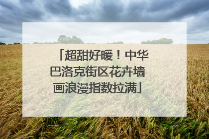超甜好暖！中华巴洛克街区花卉墙画浪漫指数拉满