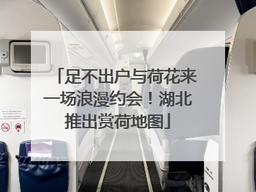 足不出户与荷花来一场浪漫约会！湖北推出赏荷地图