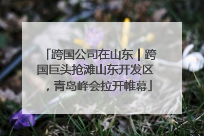 跨国公司在山东｜跨国巨头抢滩山东开发区，青岛峰会拉开帷幕