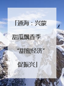 通海：兴蒙甜瓜飘香季 “甜蜜经济”促振兴