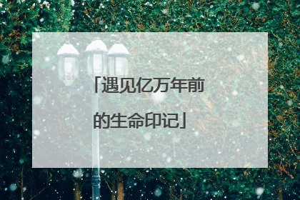 遇见亿万年前的生命印记