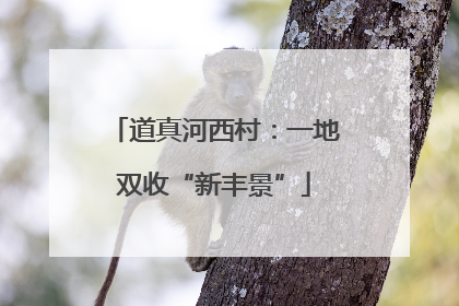 道真河西村：一地双收“新丰景”