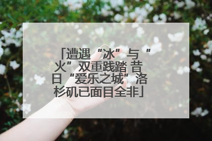 遭遇“冰”与“火”双重践踏 昔日“爱乐之城”洛杉矶已面目全非