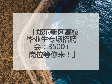 郑东新区高校毕业生专场招聘会：3500+岗位等你来！