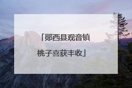 郧西县观音镇桃子喜获丰收