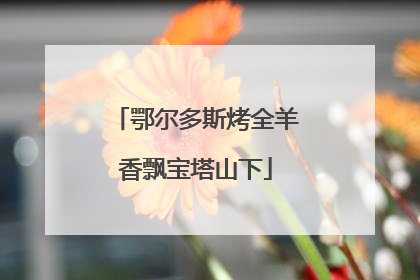 鄂尔多斯烤全羊香飘宝塔山下