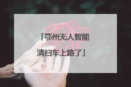 鄂州无人智能清扫车上路了