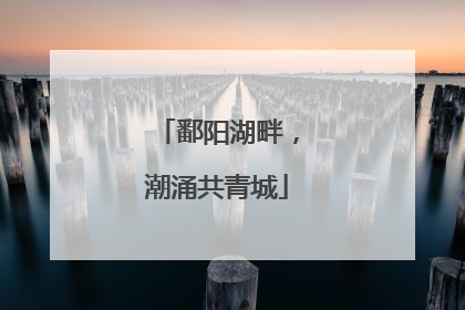 鄱阳湖畔，潮涌共青城
