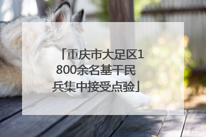 重庆市大足区1800余名基干民兵集中接受点验