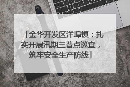 金华开发区洋埠镇：扎实开展汛期三普点巡查，筑牢安全生产防线