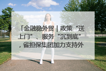 金融稳外贸｜政策“送上门”、服务“沉到底”，省担保集团加力支持外经贸高质量发展