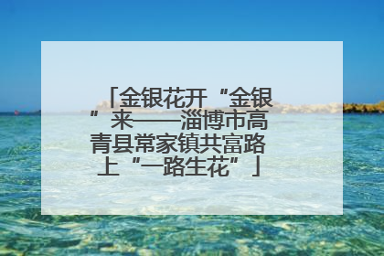 金银花开“金银”来——淄博市高青县常家镇共富路上“一路生花”