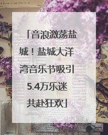 音浪激荡盐城！盐城大洋湾音乐节吸引5.4万乐迷共赴狂欢