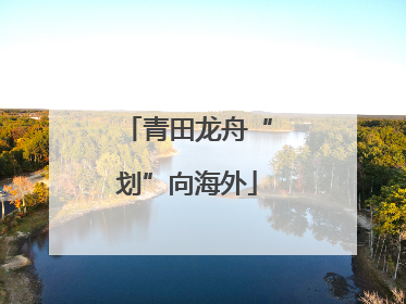 青田龙舟“划”向海外