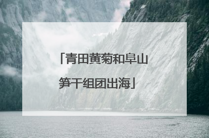 青田黄菊和阜山笋干组团出海