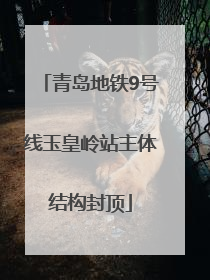青岛地铁9号线玉皇岭站主体结构封顶