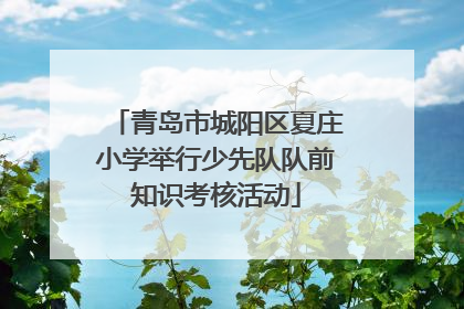 青岛市城阳区夏庄小学举行少先队队前知识考核活动