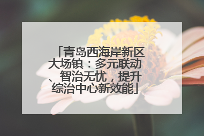 青岛西海岸新区大场镇：多元联动、智治无忧，提升综治中心新效能